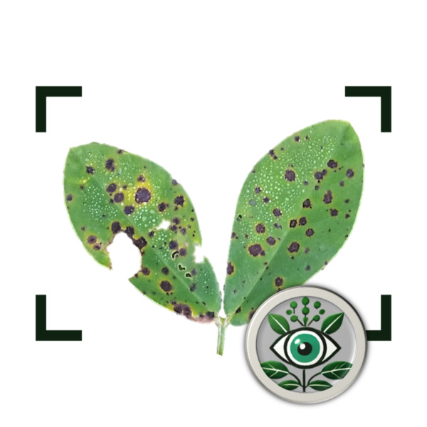 AgriView PeanutScout icon