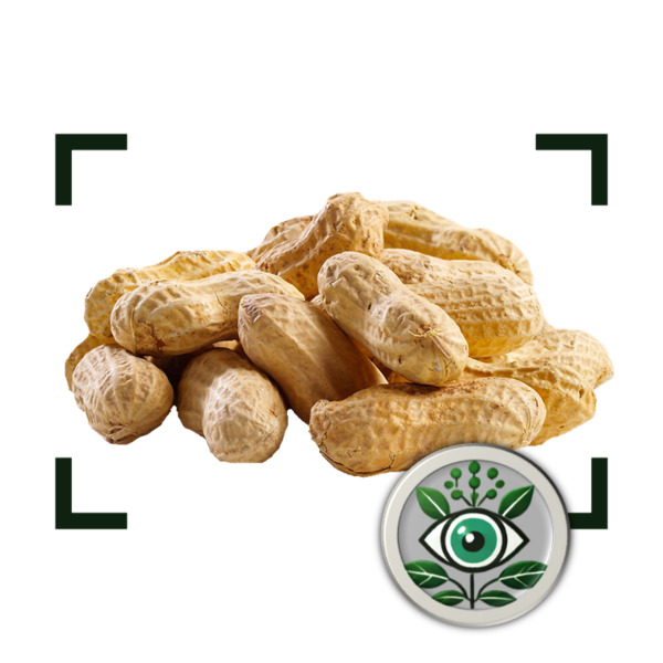 AgriView PeanutYield icon