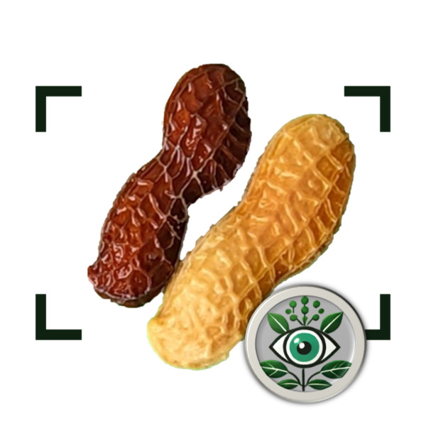 AgriView PodProbe icon